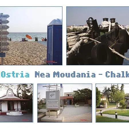 Ostria